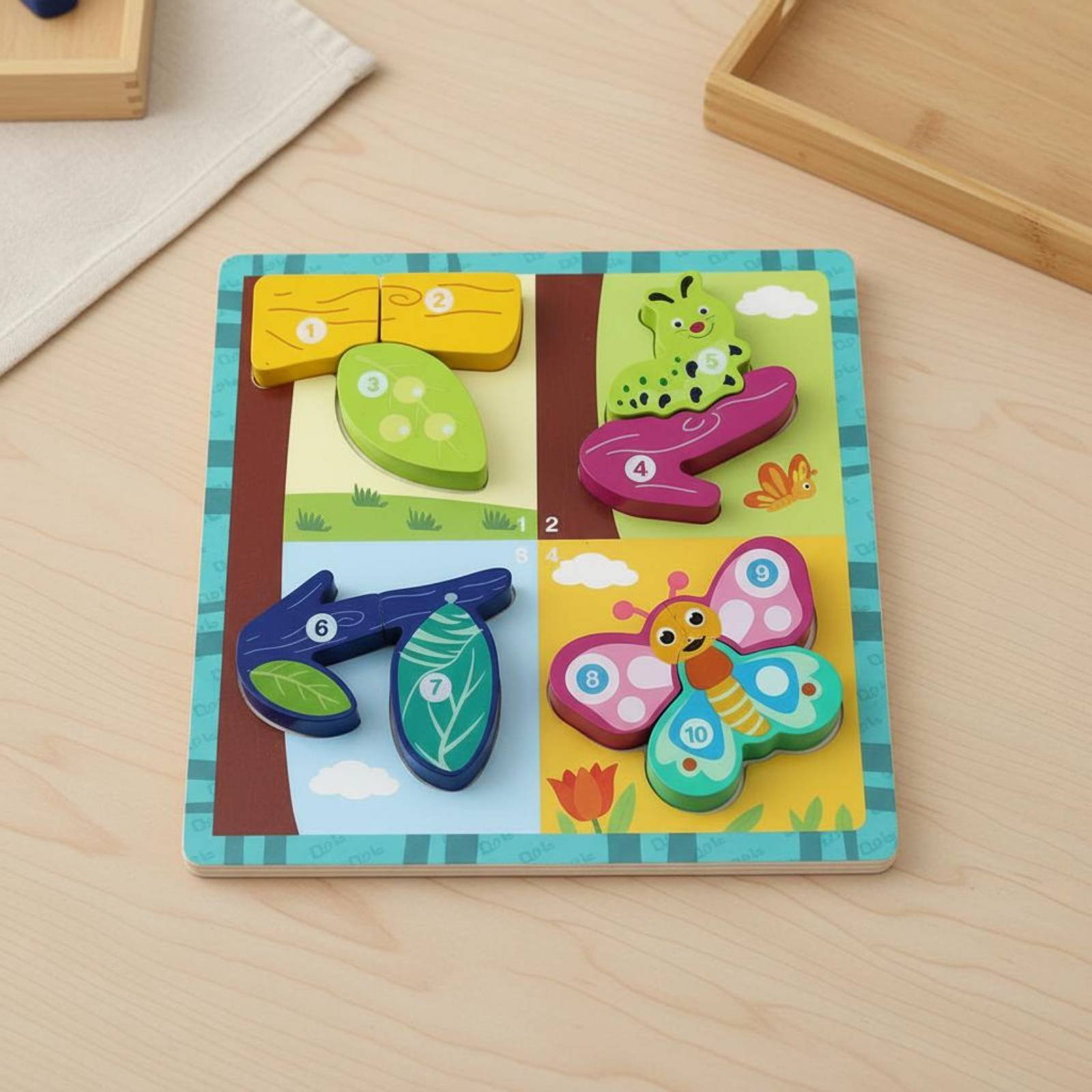 Growth Board Game Board Cognit - Board Game Nature review and price
