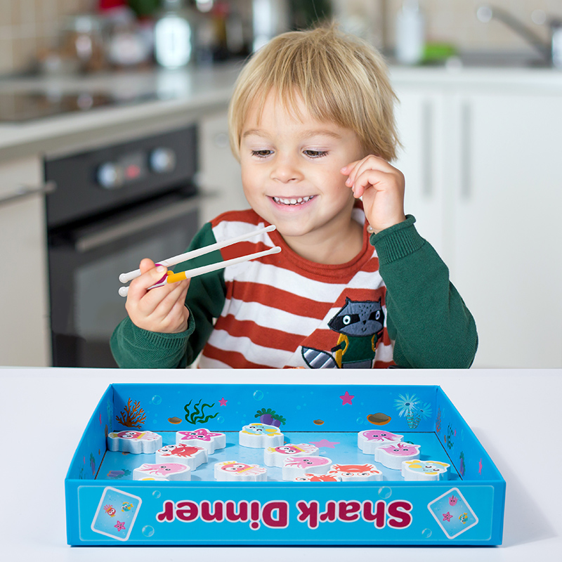 Children Animal Shape Matching - Board Game Nature review and price