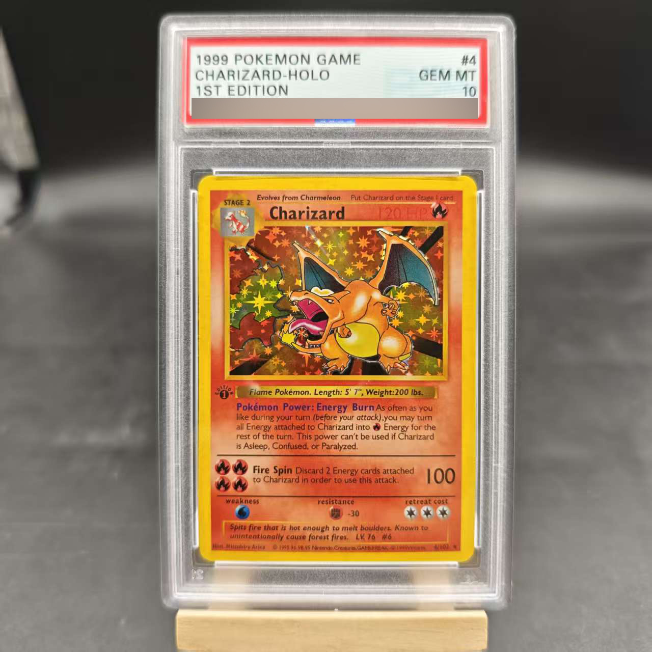 Diy 1ST Venusaur Gyarados Char - Board Game Pokemon review and price
