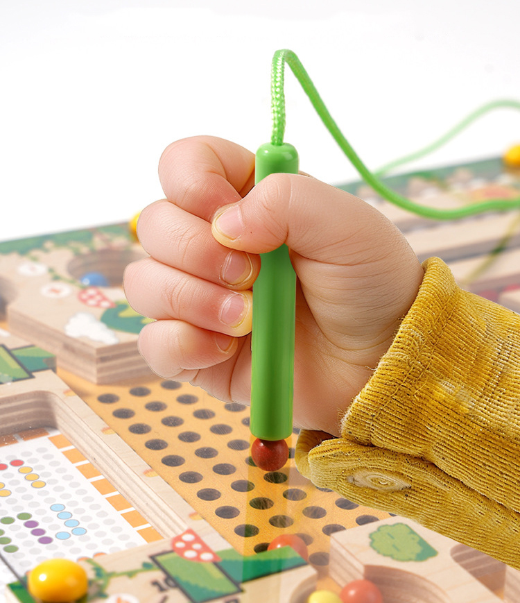 Magnetic Sorting Games Montess - Board Game Nature review and price