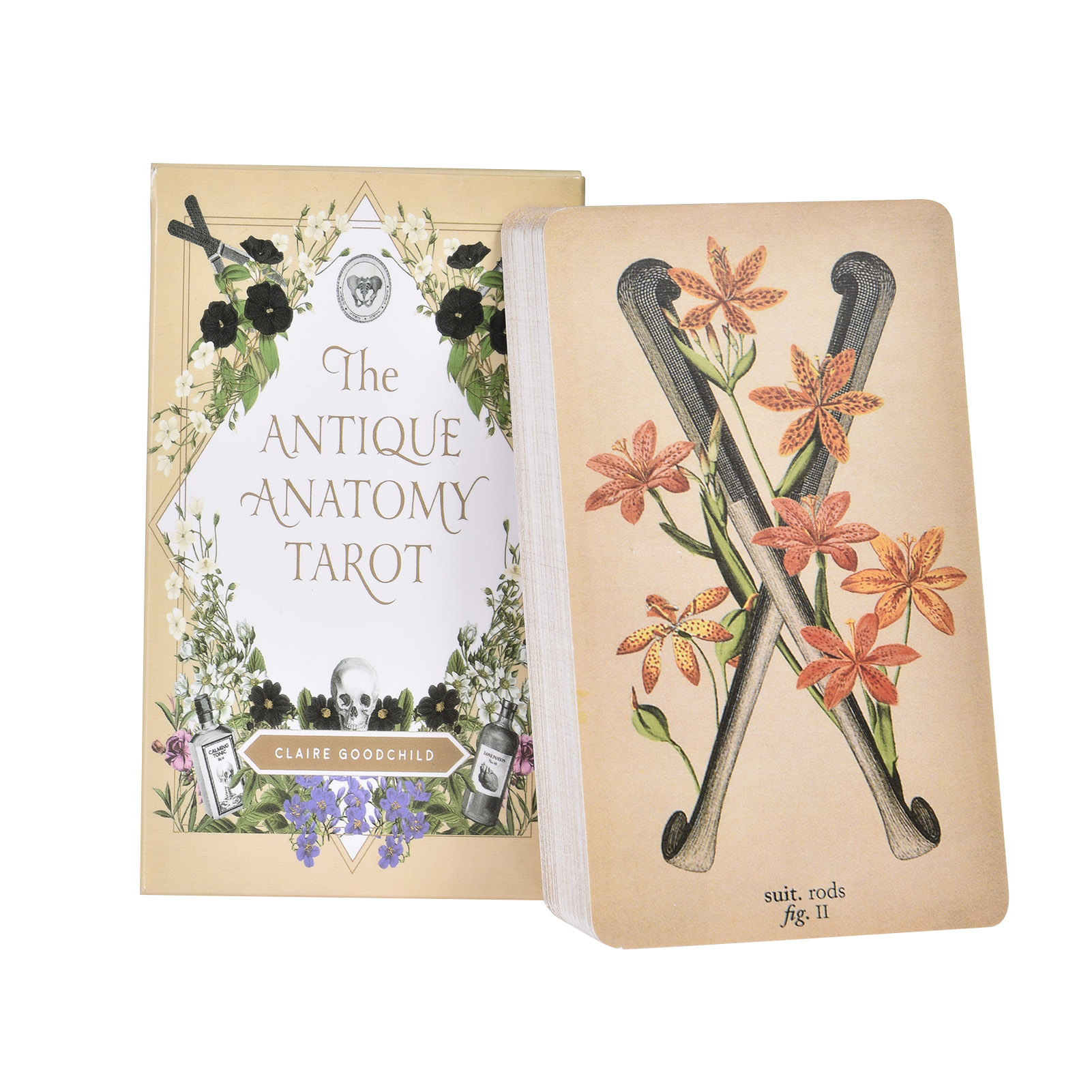 The Antique Anatomy Tarot Card - Board Game Pdf review and price